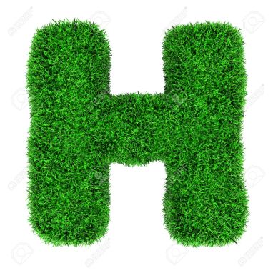 12346508-letter-h-made-of-grass-isolated-on-white-background-stock-photo