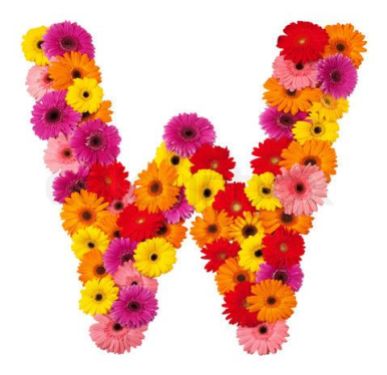 Letter W - flower alphabet isolated on white background